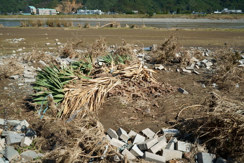 Flood damage caused by Typhoon No.19 "Hagibis" in Japan