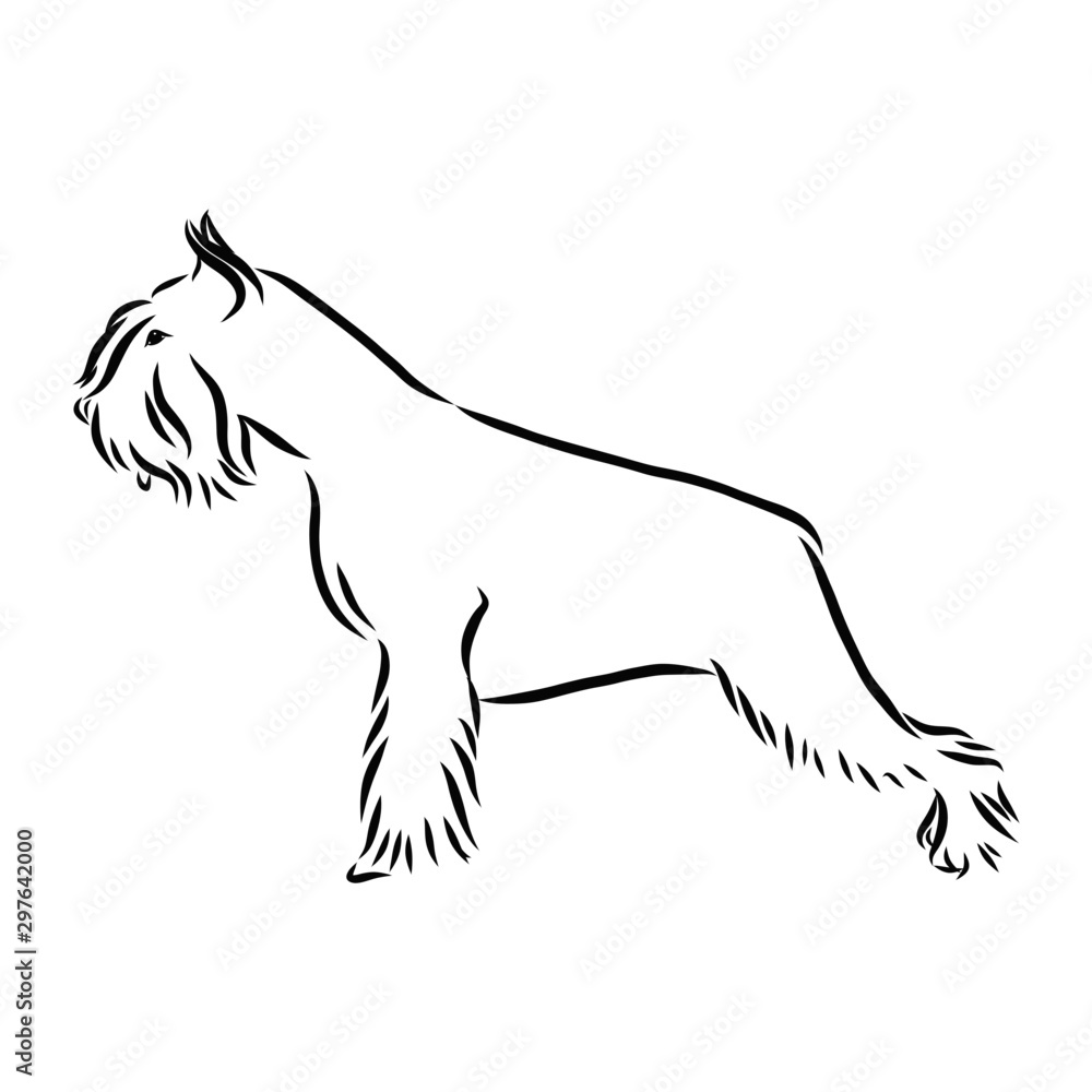 Fototapeta premium silhouette of a dog, schnauzer dog sketch