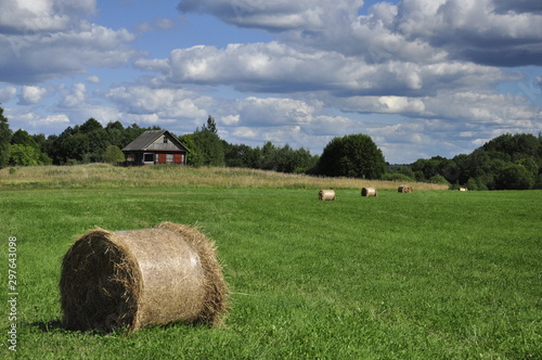 Haystacks on a green field