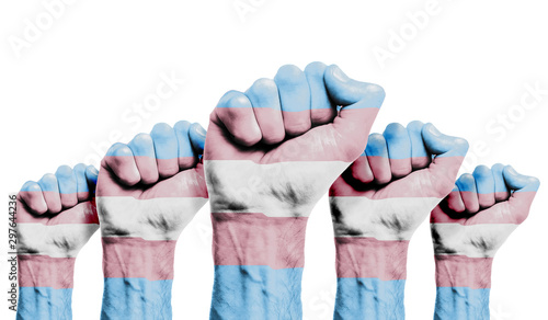 A raised fist of a protesters painted with the Transgender flag