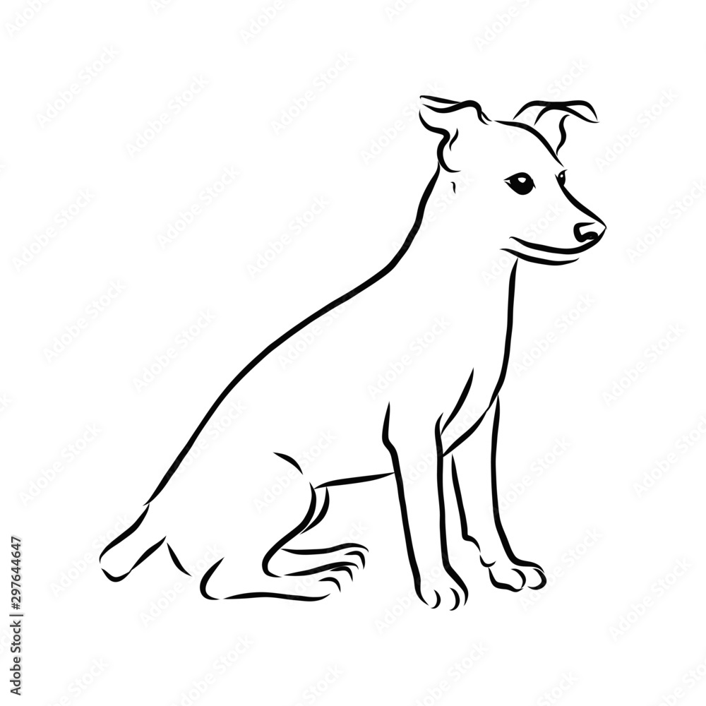 vector illustration of a dog, toy terrier sketch 