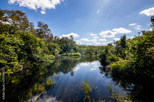 Everglades