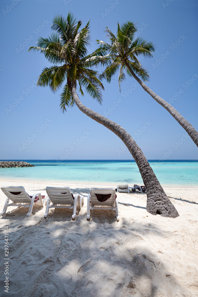 Foto de Bikini beach at Maafushi Island with white sand and coconut