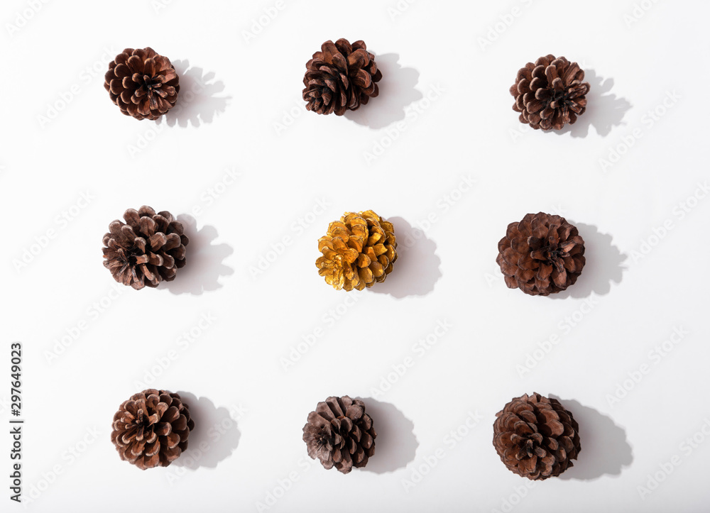 Obraz premium Autumn composition, frame made of pine cones on whitebackground. Flat lay, top view