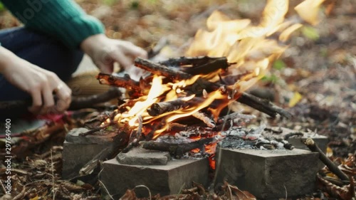 Wallpaper Mural A stick is placed into a burning campfire. A medium shot of a campfire burning in the woods at dusk in forest. Close up. Torontodigital.ca