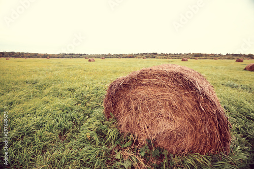 Farm field with haystack at autumn