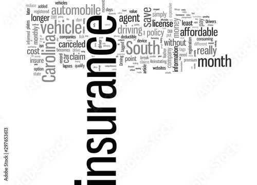 How To Get Affordable Automobile Insurance In South Carolina