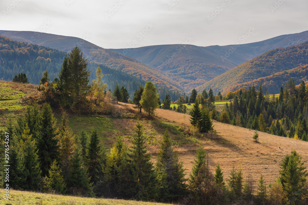 Landscapes on an autumn mountain village, with beautiful houses and golden trees around, located in the Ukrainian Carpathians.