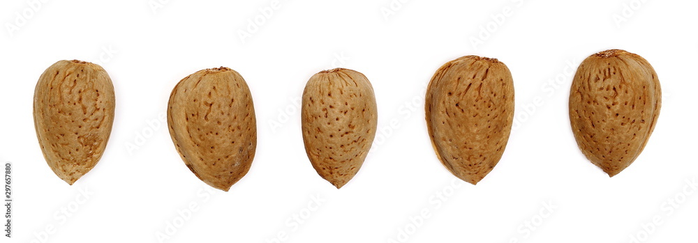 Set almond kernel, nut in shell isolated on white background, top view
