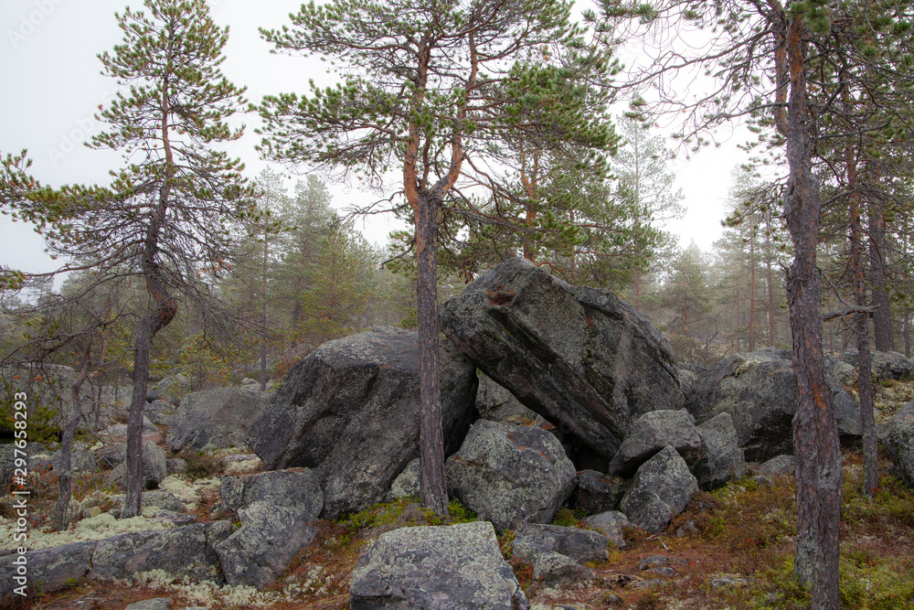 Rocky landscape. Landscape full of large stones. The stones were placed there by glaciers during the last ice age Rocky landscape. Landscape full of large stones. The stones were placed there by glaciers during the last ice age