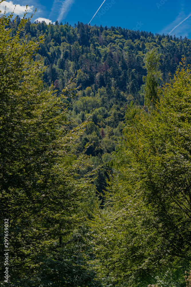 Fototapeta premium Château-Lambert, France - 09 13 2019: Hike in the circuit of school trail