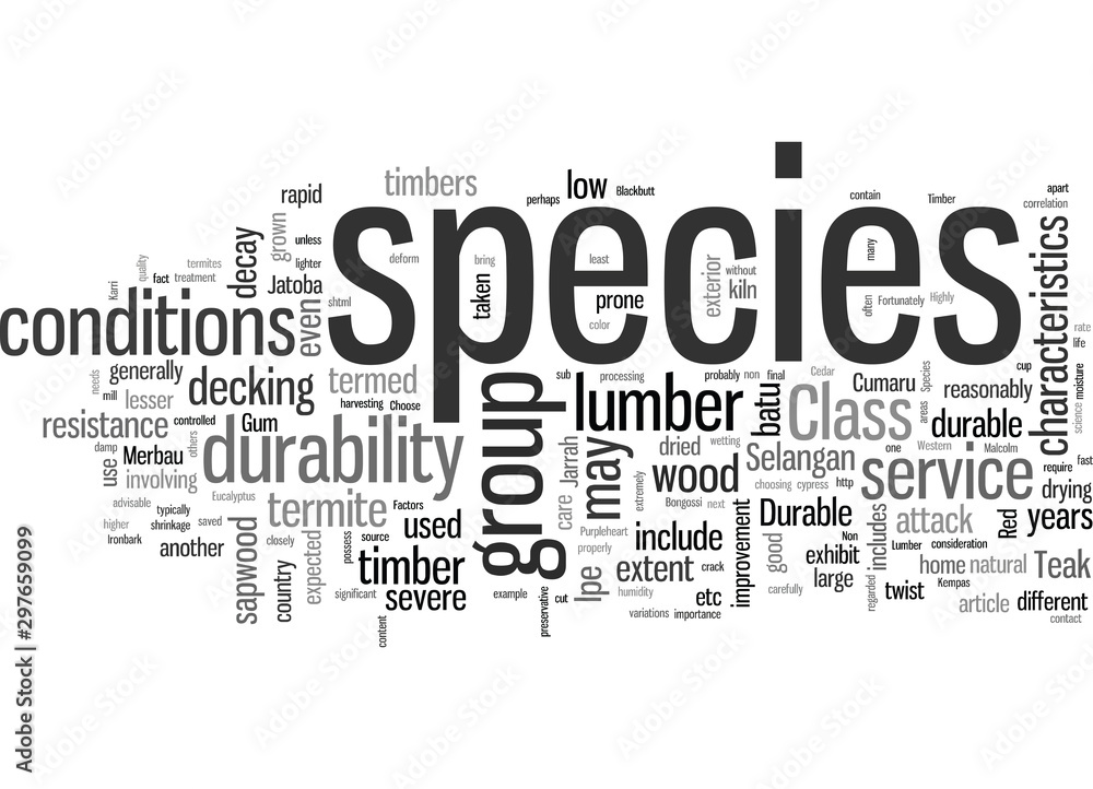 How To Choose The Right Wood For Your Deck Durability Factors How To Choose The Right Wood For Your Deck Durability Factors