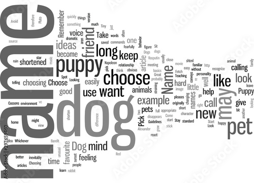 How To Choose The Perfect Dog Name For Your Puppy