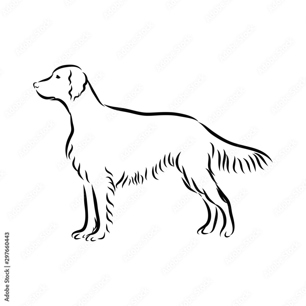 black silhouette of a dog, Irish setter sketch 