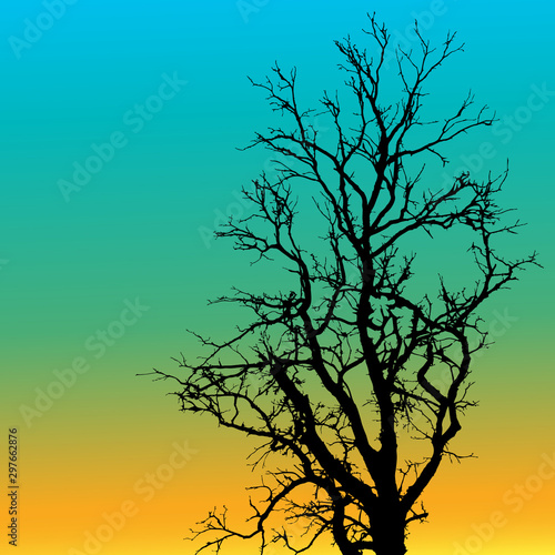 Crd template with tree silhouette on gradient background. © jolie_nuage