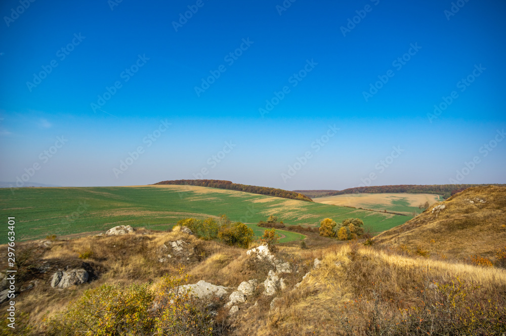 Panorama of an agricultural field