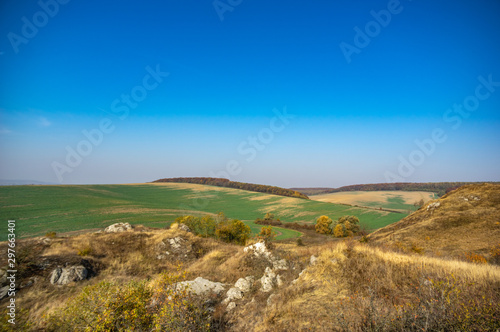 Panorama of an agricultural field