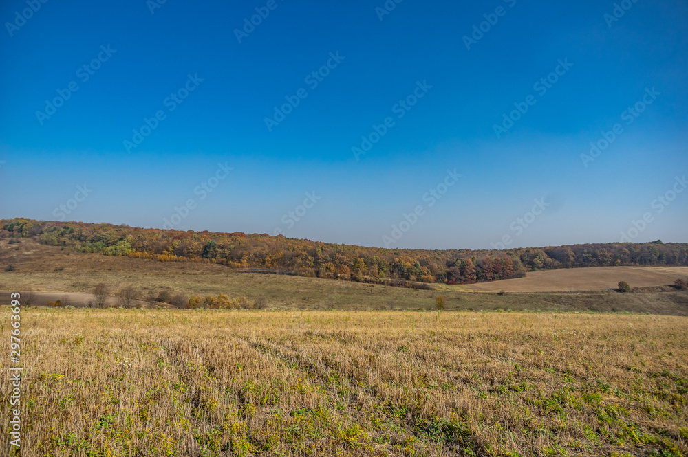 Panorama of an agricultural field Panorama of an agricultural field