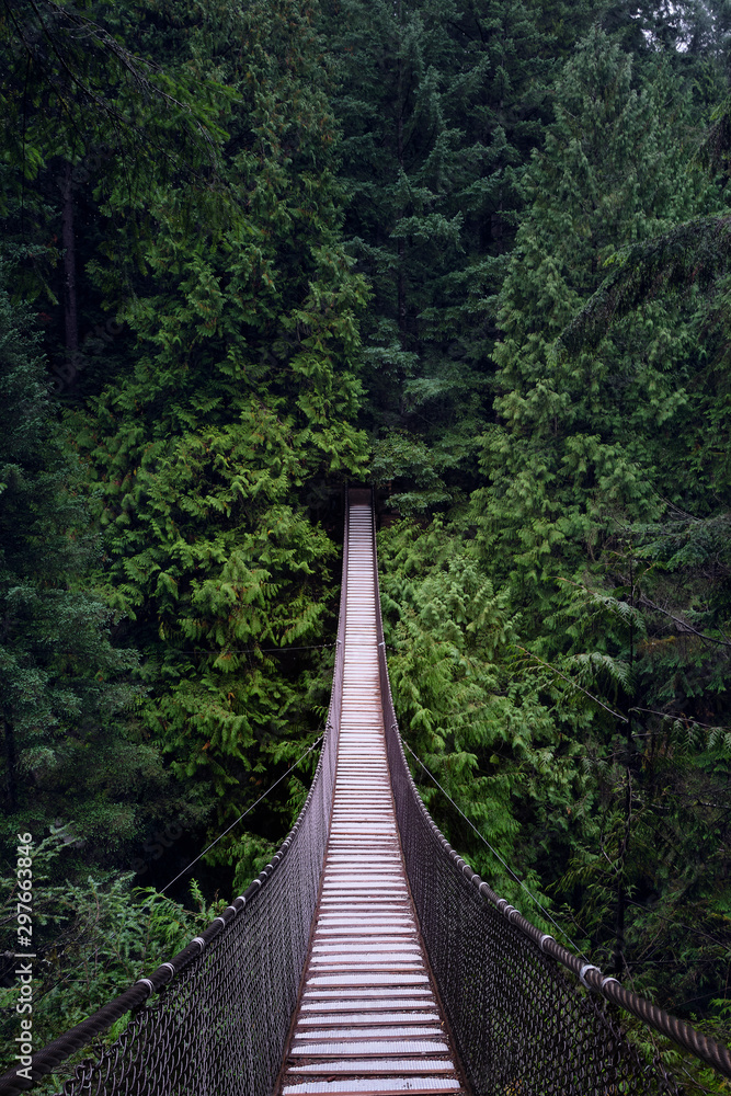 Forest Suspension Bridge