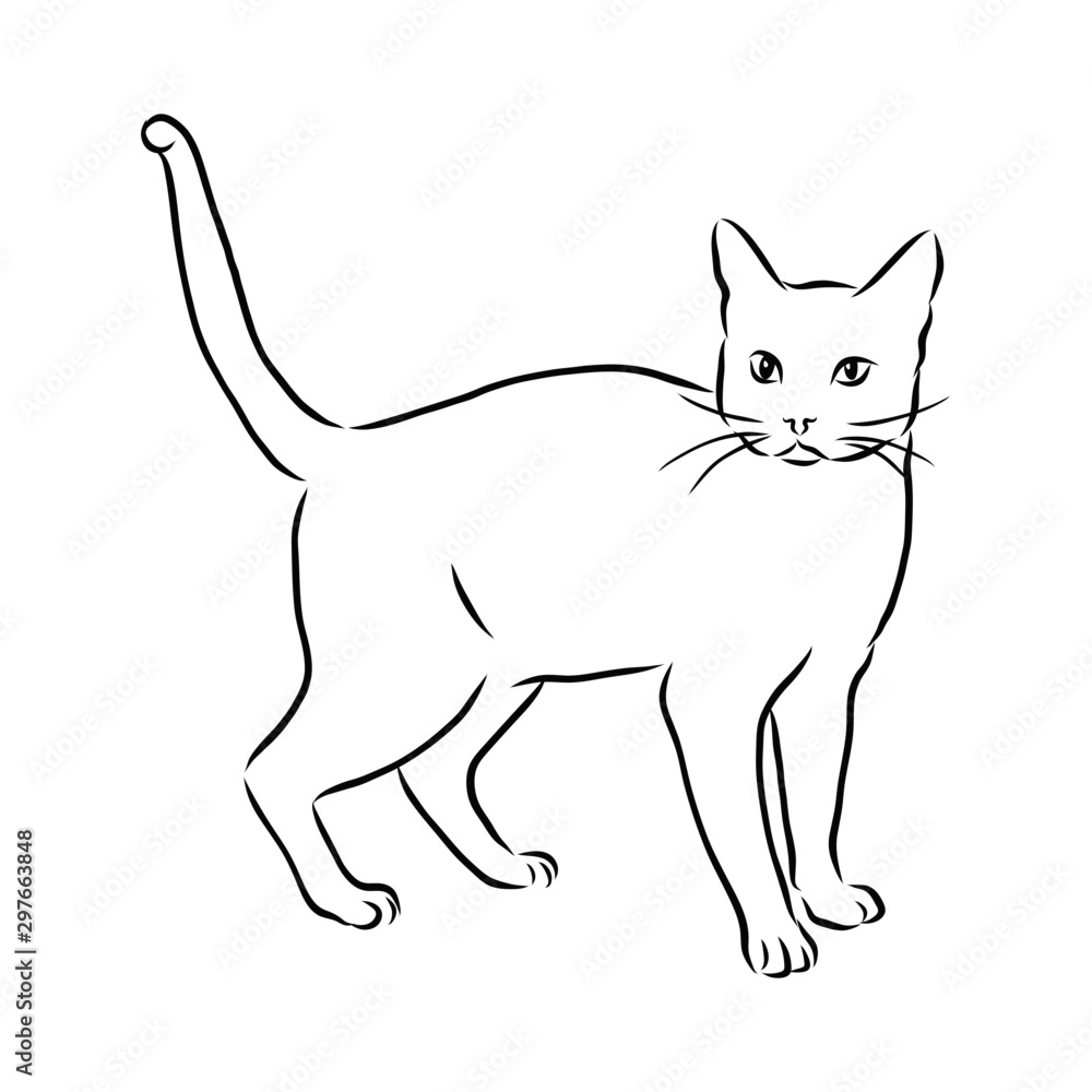 set of cats, cat sketch, contour vector illustration 