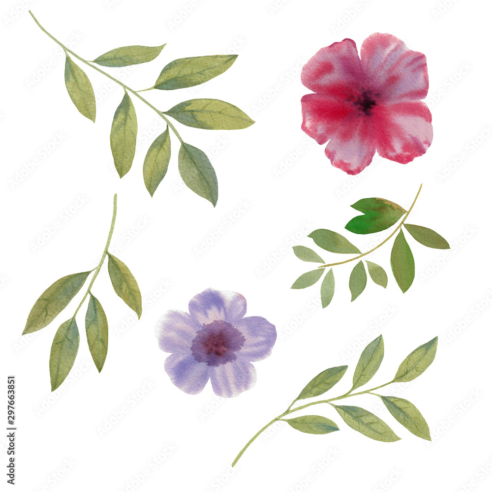 A set of flowers. Watercolor painting set of flowers and leaves isolated on white background. Hand draw watercolor illustration. Design element. Elegant flowers, the leaves and flowers art design.