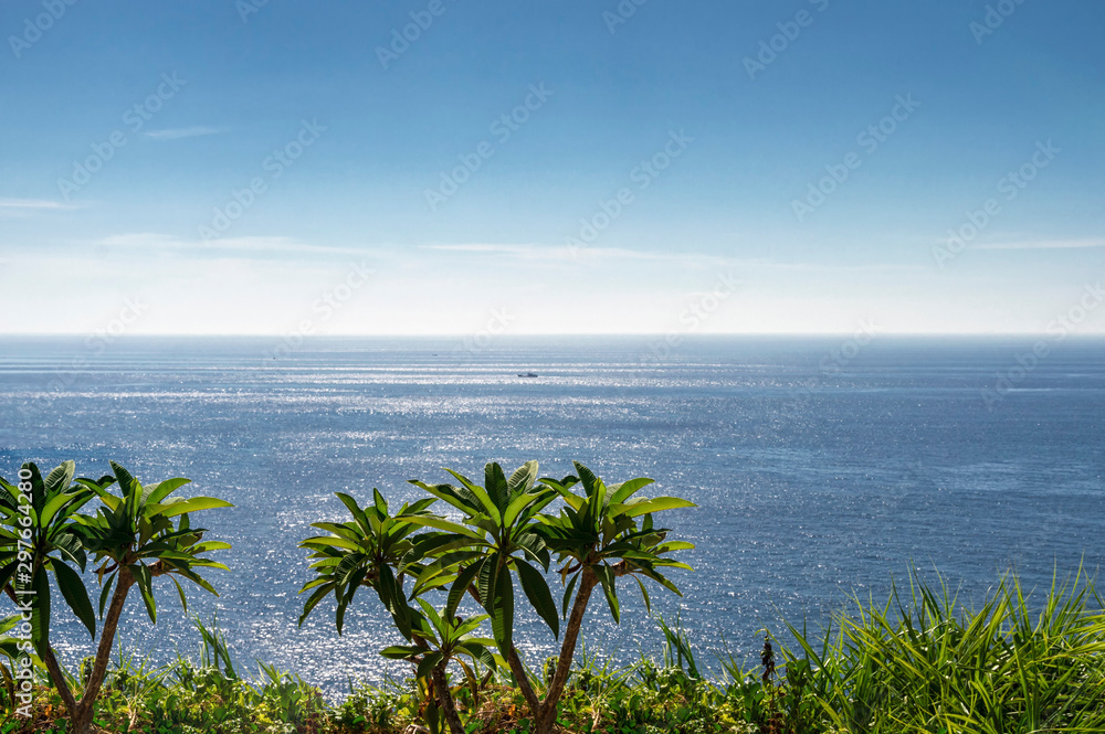 tropical plants and green grass in focus on a hilltop against a sea background tropical plants and green grass in focus on a hilltop against a sea background