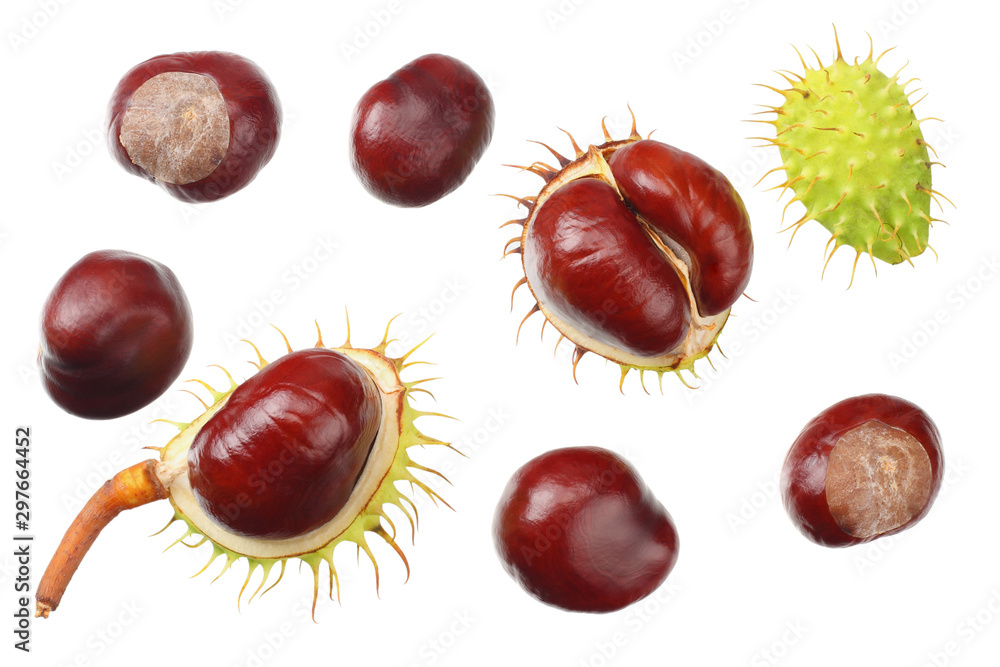 chestnuts isolated on white background. top view chestnuts isolated on white background. top view