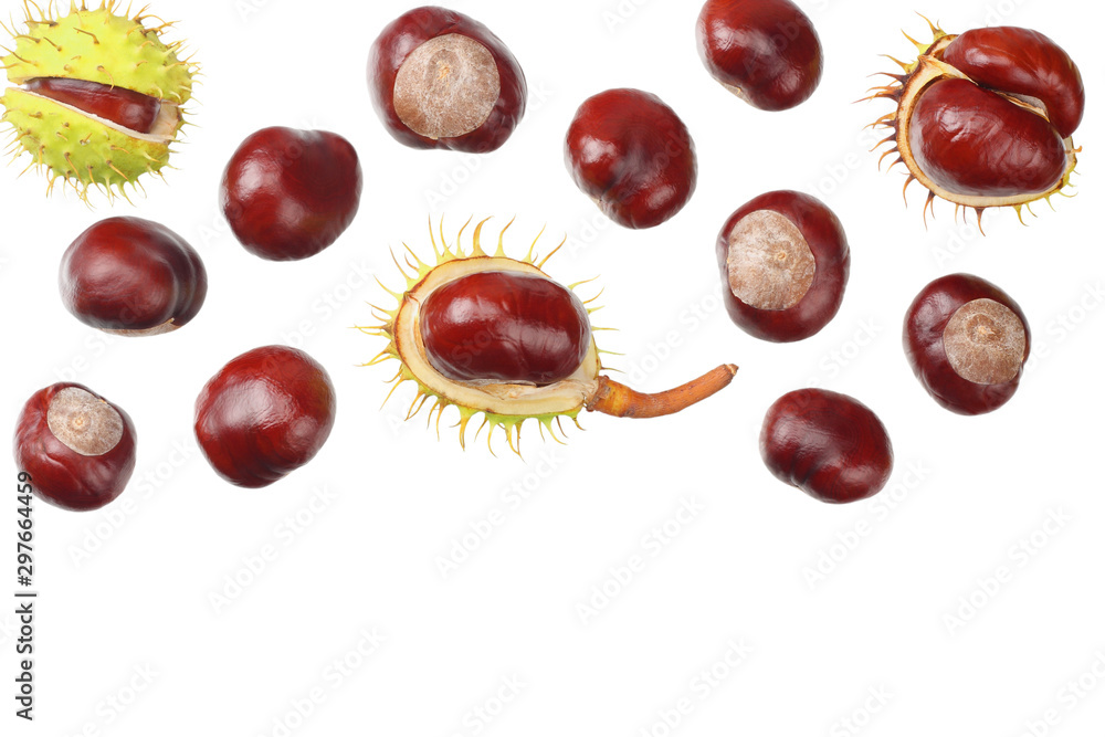 chestnuts isolated on white background. top view