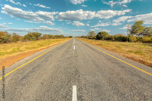 Εκτύπωση καμβά Endless road in Botswana, sunny day with blue sky, Africa