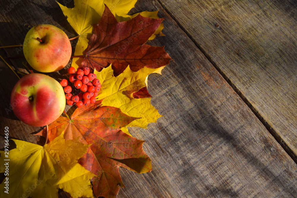 Apples, rowan and autumn maple leaves on an old grunge wood background.Red, yellow and orange colors. Autumn concept. Apples, rowan and autumn maple leaves on an old grunge wood background.Red, yellow and orange colors. Autumn concept.
