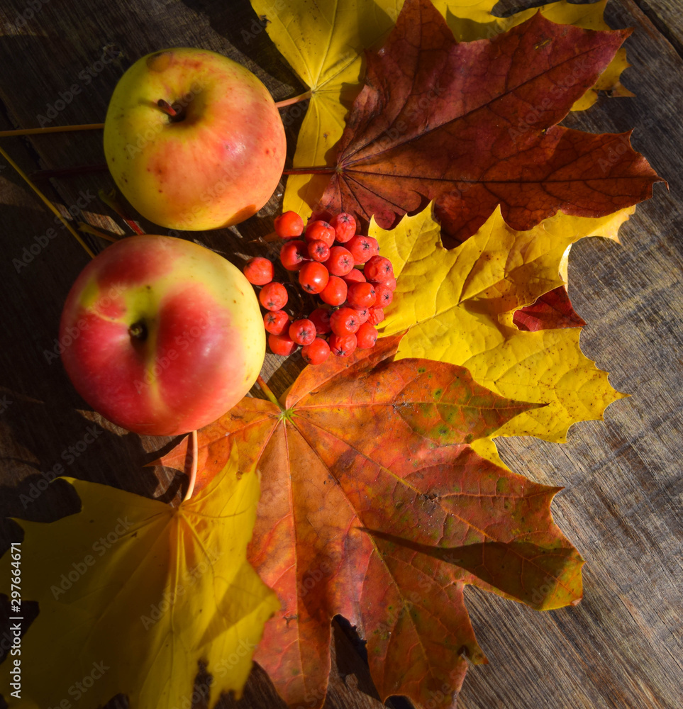 Apples, rowan and autumn maple leaves on an old grunge wood background.Red, yellow and orange colors. Autumn concept. Apples, rowan and autumn maple leaves on an old grunge wood background.Red, yellow and orange colors. Autumn concept.