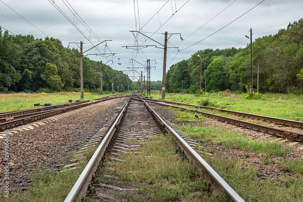 Three railway tracks merge together on deciduous forest background. Industrial landscape Three railway tracks merge together on deciduous forest background. Industrial landscape