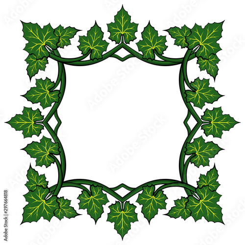 Beautiful frame green pumpkin leaves on white background for decorative design. Floral vector illustration.