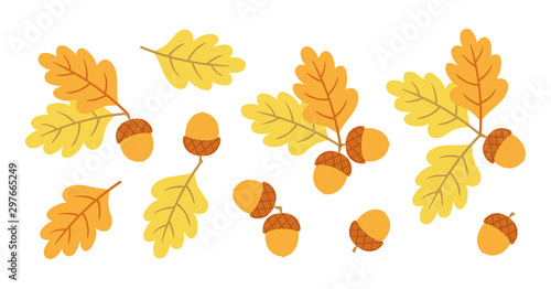 Set of vector acorns and oak leaves