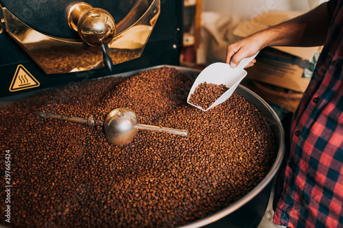 Canvas-taulu Man's hands holding freshly roasted aromatic coffee beans over a modern coffee roasting machine