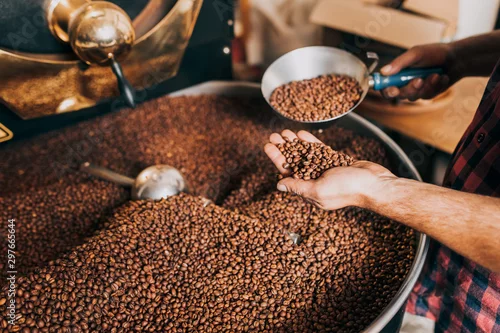 Obraz Man's hands holding freshly roasted aromatic coffee beans over a modern coffee roasting machine.