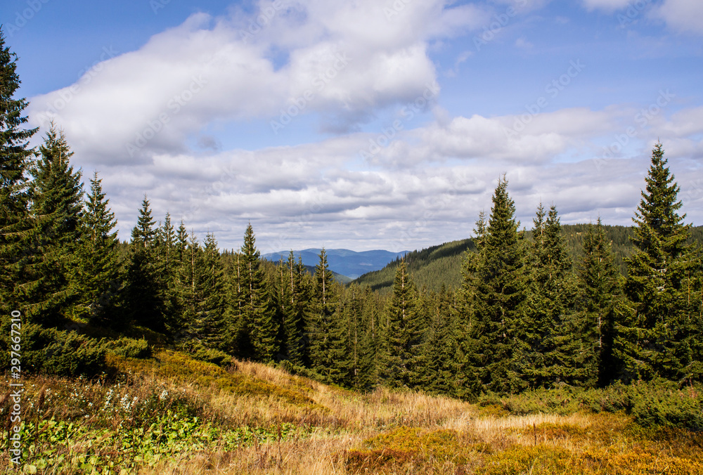Mountain landscape with a green forest. Sunny forest with blue sky and clouds. Mountain landscape with a green forest. Sunny forest with blue sky and clouds.