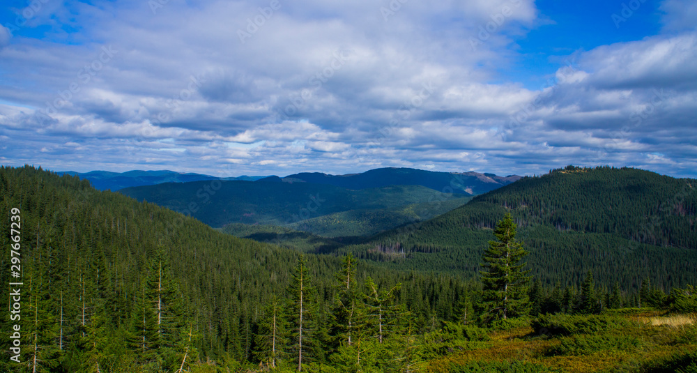 Mountain landscape with a green forest. Sunny forest with blue sky and clouds.