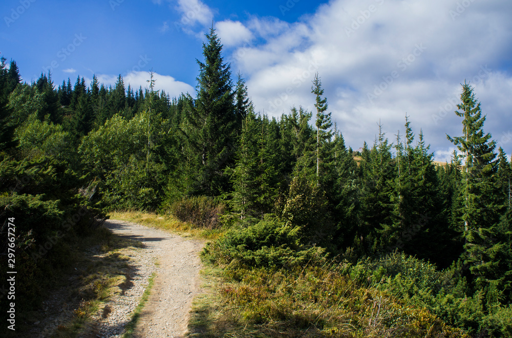 Mountain landscape with a green forest. Sunny forest with blue sky and clouds. Mountain landscape with a green forest. Sunny forest with blue sky and clouds.