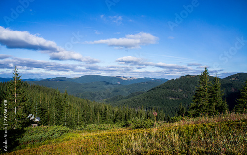 Mountain landscape with a green forest. Sunny forest with blue sky and clouds. © Payllik