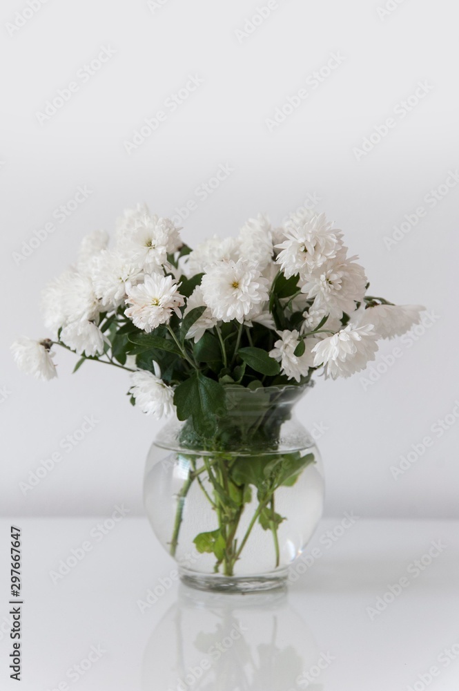white roses isolated in glass bowl white roses isolated in glass bowl