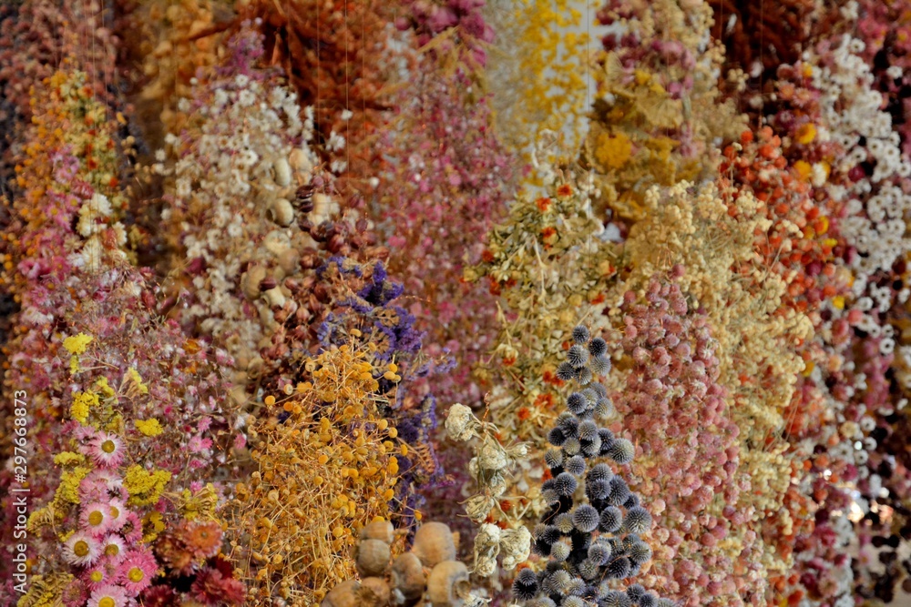 Dried flowers in an exhibition