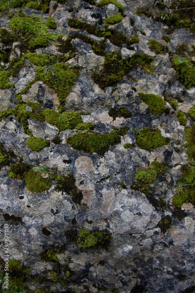 The texture of stone and moss.