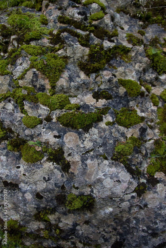 The texture of stone and moss. The texture of stone and moss.