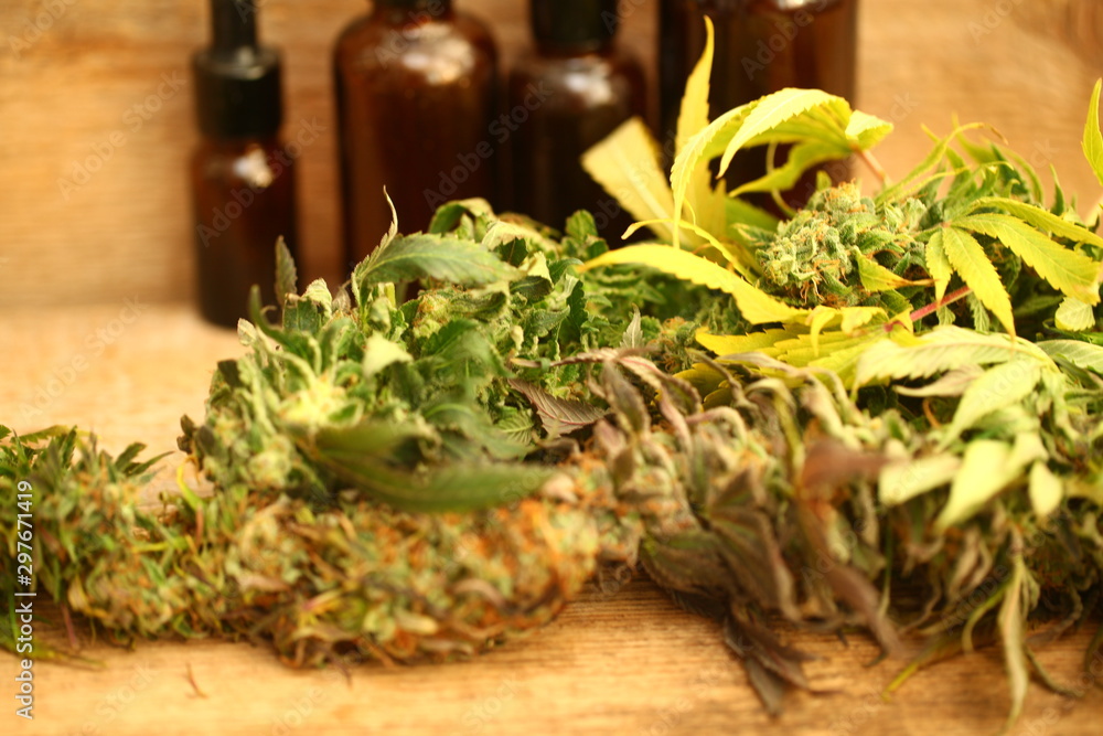 Medical marijuana cannabis cbd oil Medical marijuana cannabis cbd oil
