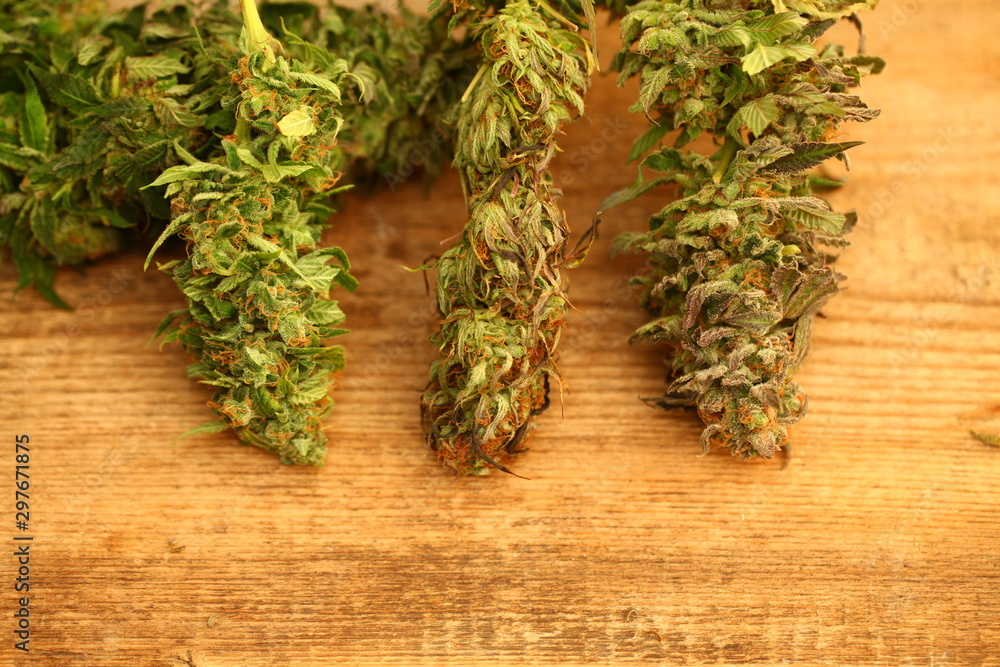 Medical marijuana cannabis cbd oil Medical marijuana cannabis cbd oil