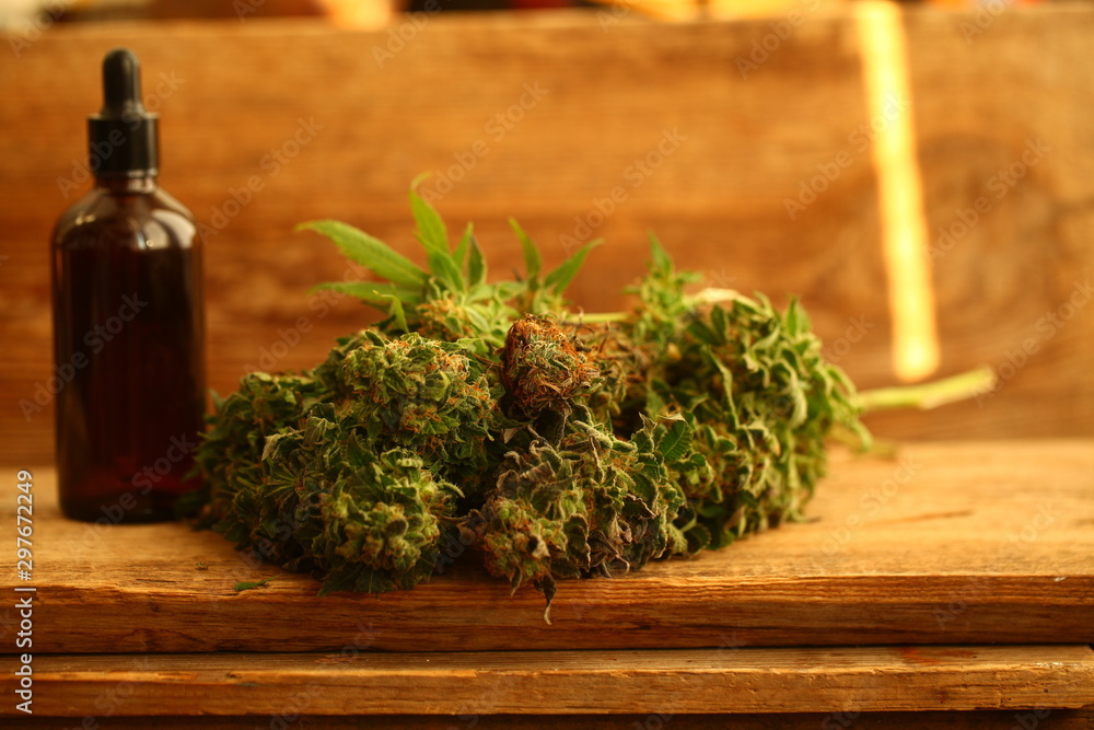 Medical marijuana cannabis cbd oil Medical marijuana cannabis cbd oil