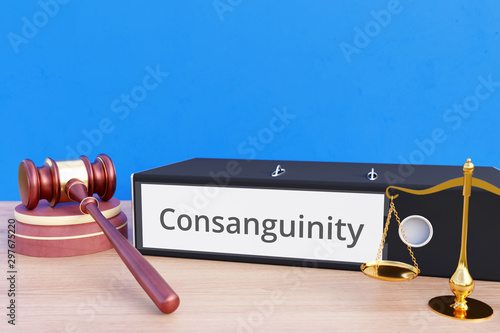 Consanguinity – Folder with labeling, gavel and libra – law, judgement, lawyer