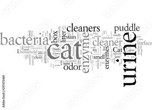 Enzyme Cleaners The Only Effective Cat Urine Odor Eliminator