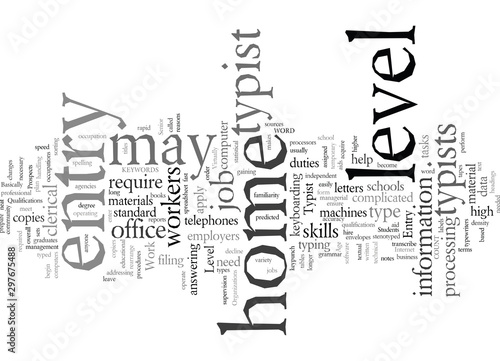 Entry Level Work at Home Typist